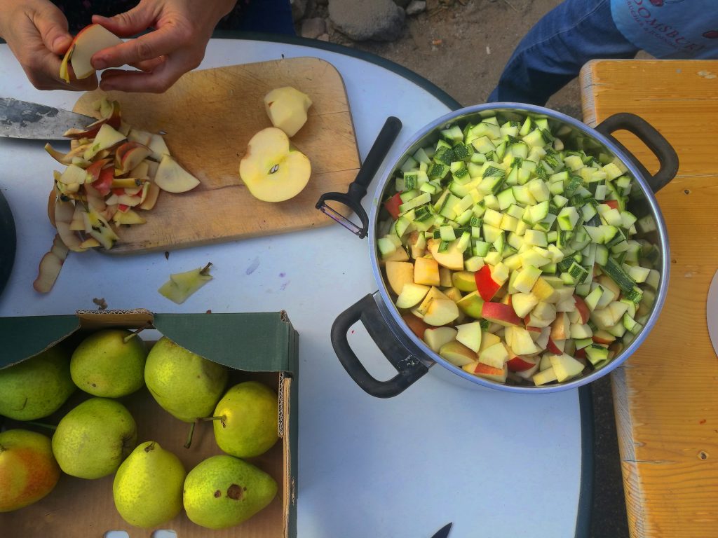 Schneiden von Obst und Gemüse für Chutneys kochen in der Klimawerkstatt Werder