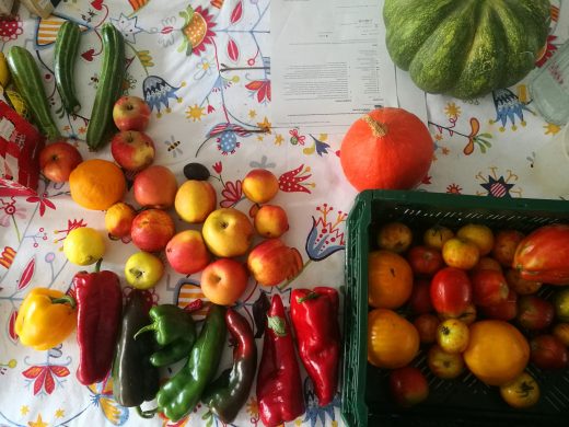 Obst und Gemüse für die Herstellung von Chutneys in der Klimawerkstatt Werder
